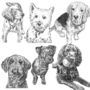 Story Of Our Pets Illustration, thumbnail 6 of 8
