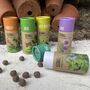 Herb Garden Seedball Tubes: Grow Your Kitchen Garden Set Of Five Tubes Filled With Seed Balls, thumbnail 3 of 9