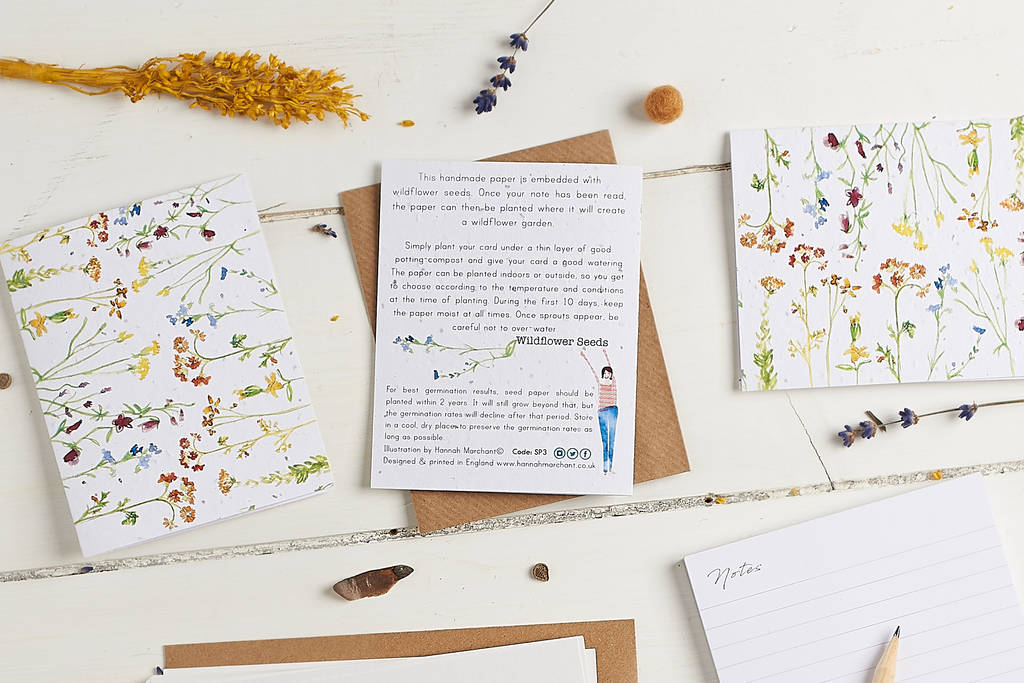 Wildflower Stationery Set Including Plantable Cards By Hannah Marchant ...