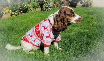 Dog Christmas Pyjamas, 3 of 9