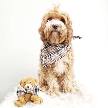 Barkberry Plaid Dog Celebration Bandana, 4 of 4