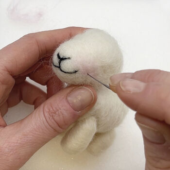 Needle Felting Kit Spring Lambs, 6 of 11