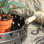 Potting Shed Garden Plant Pot Tray, thumbnail 6 of 8