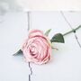 Luxury Pink Rose Bouquet In Glass Vase, thumbnail 5 of 8