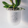 Orla, Wall Mounted Glass Planter, Ideal For Orchids, thumbnail 1 of 11