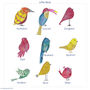 Personalised Little Bird Family Print, thumbnail 4 of 4