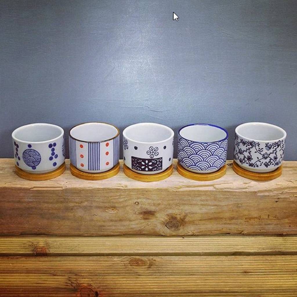 set of five ceramic round pots by garden selections