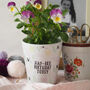 Hapbee Birthday Plant Pot Gift, thumbnail 1 of 2