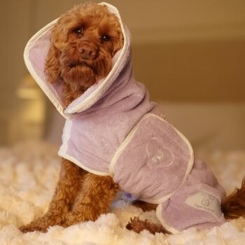 Personalised Luxury Dog Drying Coat, 7 of 12