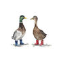 Ducks In Wellies Hand Painted Greetings Card, thumbnail 2 of 2