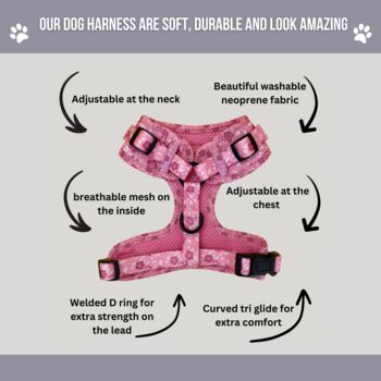 Pink Floral Dog Harness Set, 4 of 8