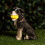 Solar Light Garden Dog Ornament With Tennis Balls LED, thumbnail 4 of 9