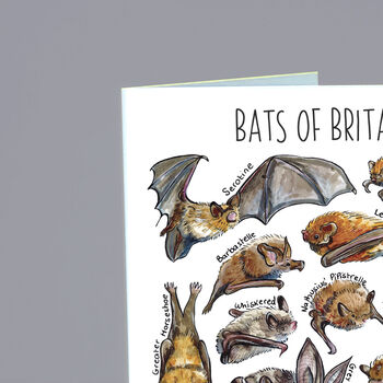 Bats Of Britain Greeting Card, 4 of 7