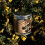 Wild Gorse Scented Tin Candle, thumbnail 1 of 4