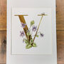 V Is For Violets Illuminated Flower Letter, thumbnail 2 of 6