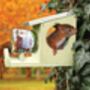 Squirrel Peanut Butter Feeder Holder Wildlife House, thumbnail 2 of 3