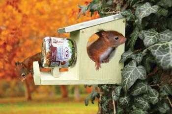 Squirrel Peanut Butter Feeder Holder Wildlife House, 2 of 3