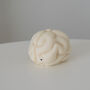 Brain Anatomy Soy Candle, thumbnail 6 of 8