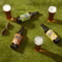 Urban Beekeeping And Craft Beer Tasting Experience 2022, thumbnail 4 of 6