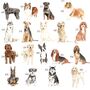 Multiple Breeds To Choose From Dog Cushion, thumbnail 6 of 7