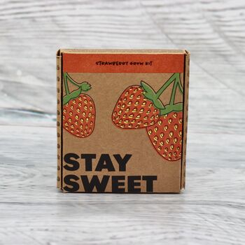 Stay Sweet Strawberry Grow Pot Kit, 3 of 9