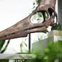 Large Hand Painted Geosternbergia Skull Dinosaur Sculpture – Museum Quality 3D Resin Fossil Model On Black Metal Stand, Statement Home Decor, thumbnail 2 of 4