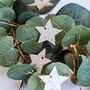 Glittery Star Fairy Lights, thumbnail 5 of 7