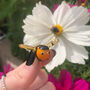 Handblown Glass Flying Bee, thumbnail 1 of 3