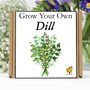 Gardening Gift. Grow Your Own Herbs. Dill Seeds Kit, thumbnail 1 of 6