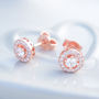 Rose Gold Plated Or Silver Cubic Zirconia Stud Earrings, thumbnail 1 of 7