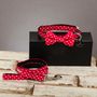 The York Red And White Spotted Dog Bow Tie And Lead Set, thumbnail 1 of 6