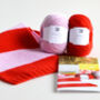 Easy Learn To Knit Stripe Scarf Knitting Kit, thumbnail 2 of 5