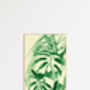 Monstera Plant Illustrated Print, thumbnail 5 of 5