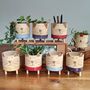 Dog Plant Pots With Legs Handmade Ceramic Tripot, thumbnail 5 of 8