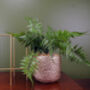 60cm Artificial Fern Plant Potted, thumbnail 2 of 3