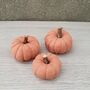 Set Of Three Handmade Mini Clay Pumpkins, thumbnail 2 of 11