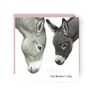 Heartwarming Donkey Mother's Day Card, thumbnail 1 of 4