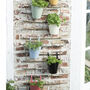 Colourful Hanging Balcony Pots, thumbnail 1 of 3