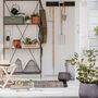 Large Plant Steel Stand, thumbnail 3 of 6