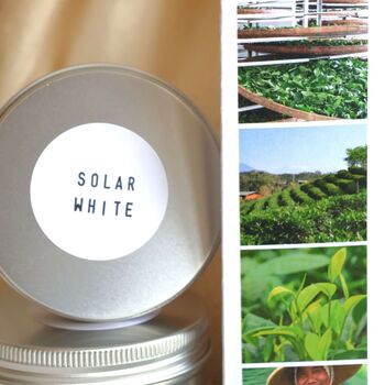 Artisan Tea Explorer Collection, 3 of 11