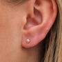 Sterling Silver Pale Blush Pink Freshwater Pearl Stud Earrings, thumbnail 1 of 9