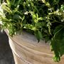 Cotswold Ribbed Planter, thumbnail 5 of 9