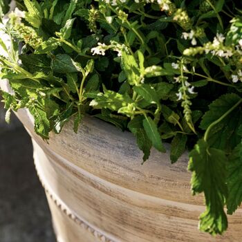 Cotswold Ribbed Planter, 5 of 9