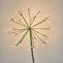 Dandelion Garden Solar Light Extra Large, thumbnail 5 of 5