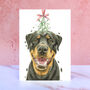 Rottweiler Mistletoe Christmas Card, thumbnail 1 of 2
