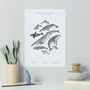 Whales And Dolphins Unframed Watercolour Print, thumbnail 5 of 6