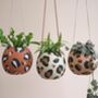 Leopard Print Round Hanging Plant Pots, thumbnail 2 of 10