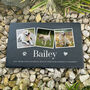 Personalised Pet Photo Slate Grave Marker 30 X 20cm, thumbnail 1 of 6