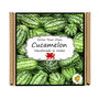 Grow Your Own Cucamelon Plant. Salad Growing Kit, thumbnail 4 of 4