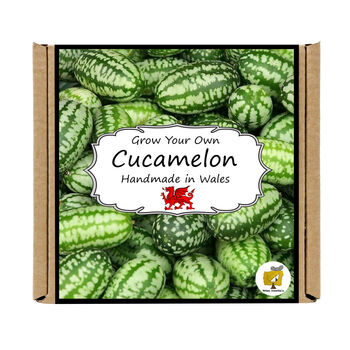 Grow Your Own Cucamelon Plant. Salad Growing Kit, 4 of 4